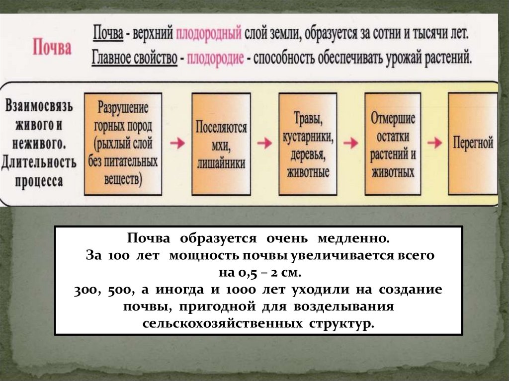 Почвы 7. Презентация 8 класс по географии почвы. Почвы особое природное тело 8 класс презентация. География 8 класс почва презентация. Урок почв 8 класс география.