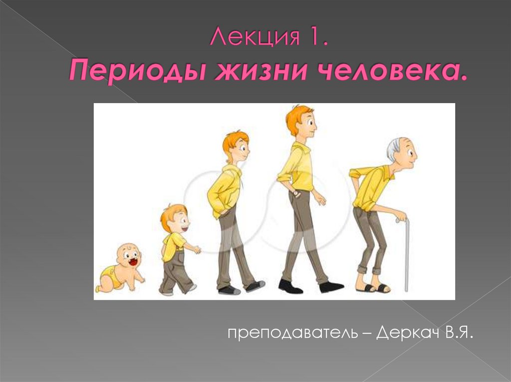 3 периода жизни