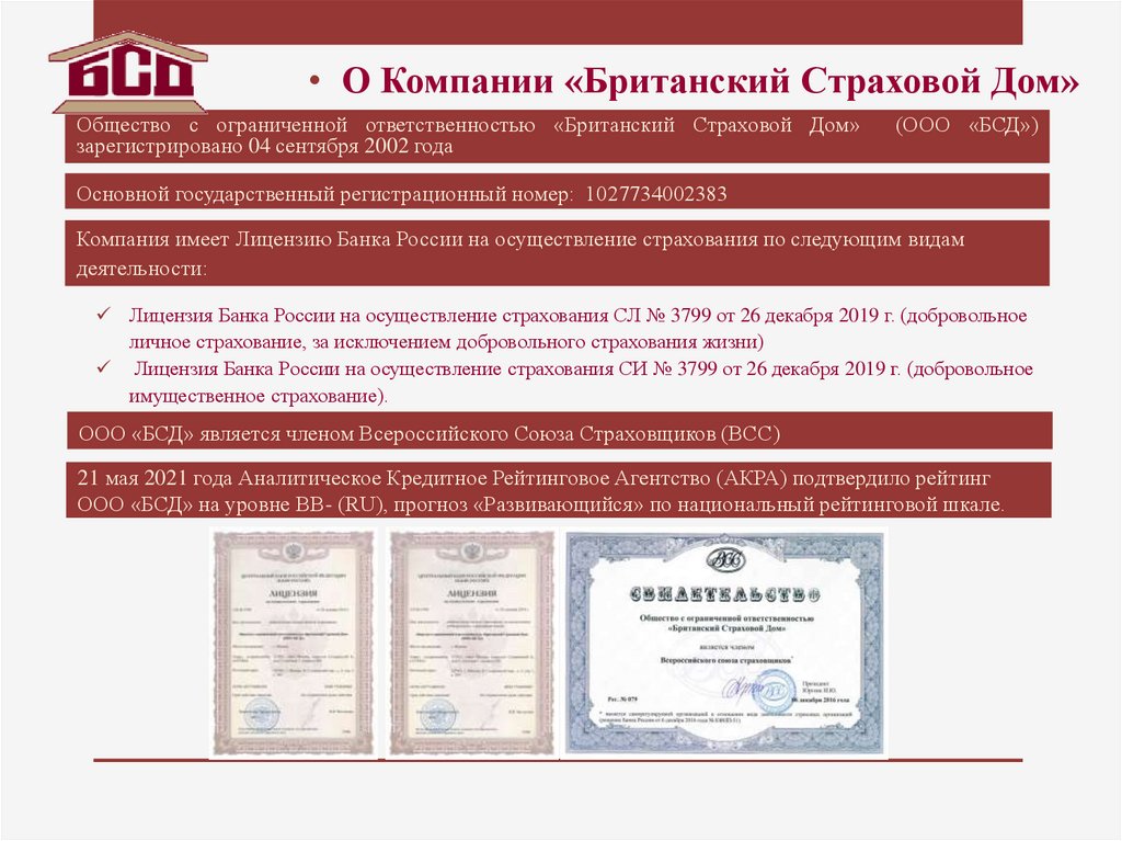 Страховая бсд. Бизнес план страховой компании. Организации БСД. Фон БСД агентство.