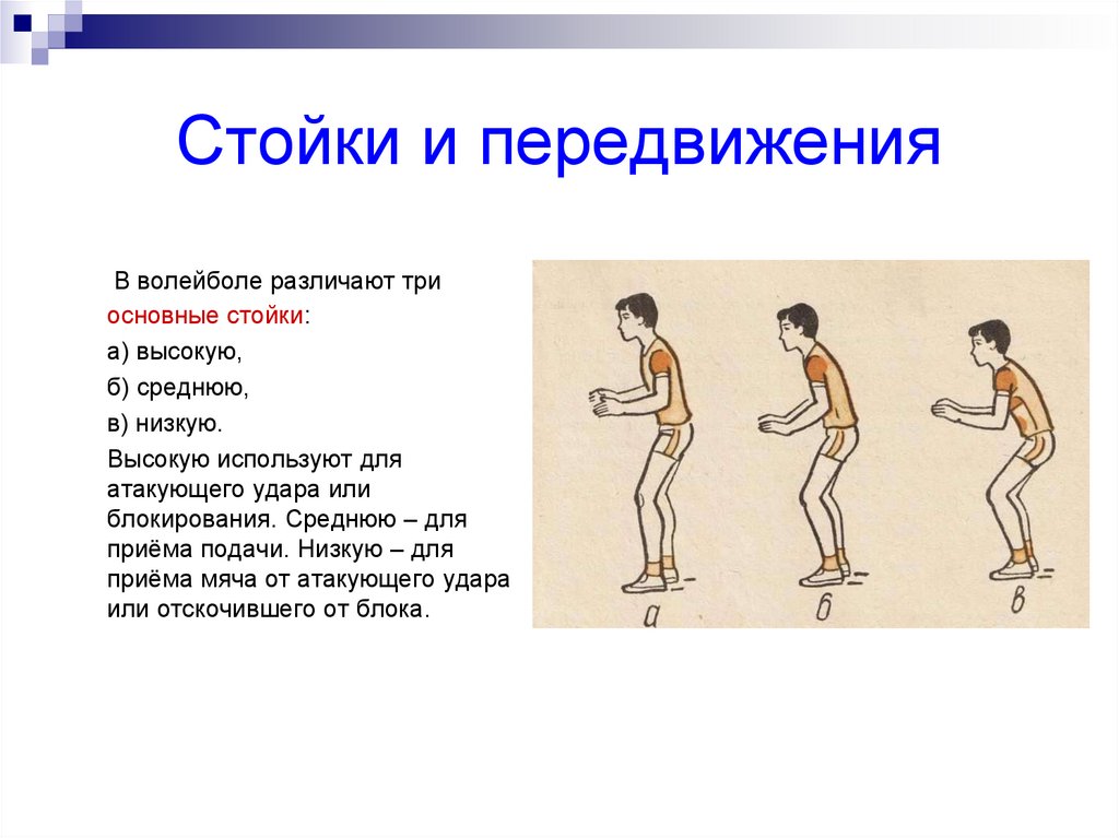 Какие перемещения. Стойка и перемещение игрока в волейболе. Стойки и передвижение игрока в волейболе. Техника стойки и перемещения в волейболе. Стойка волейболиста. Перемещения игрока..