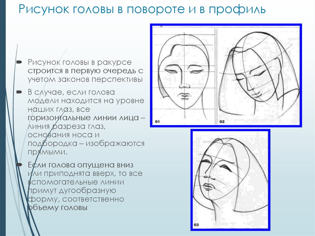 Портрет человека 4 класс изо презентация. Портрет человека 6 класс изо. Рисунок головы 6 класс изо. Пропорции головы человека изо 6 класс.