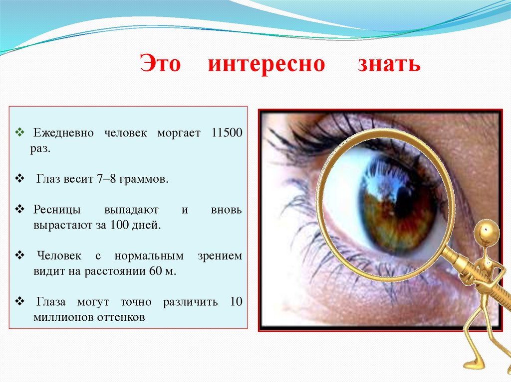 Глаза это орган чувств. Органы чувств человека. Органы чувств человека глаза. Презентация на тему органы чувств. Сообщение о органе чувств.