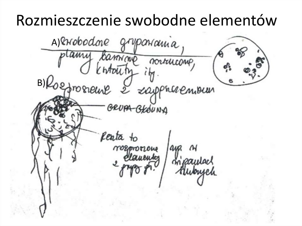 Rozmieszczenie swobodne elementów