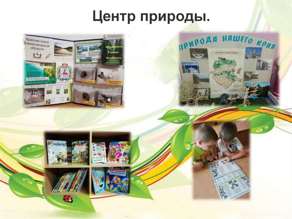 Центр природы.
