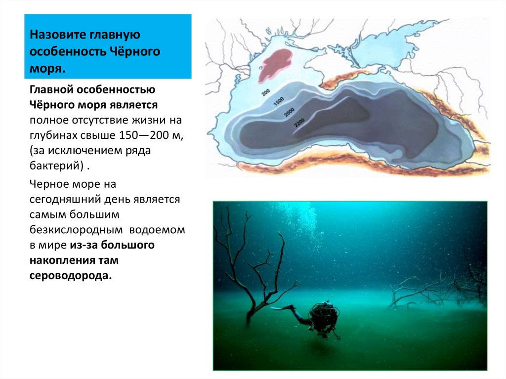 Особенности черного моря