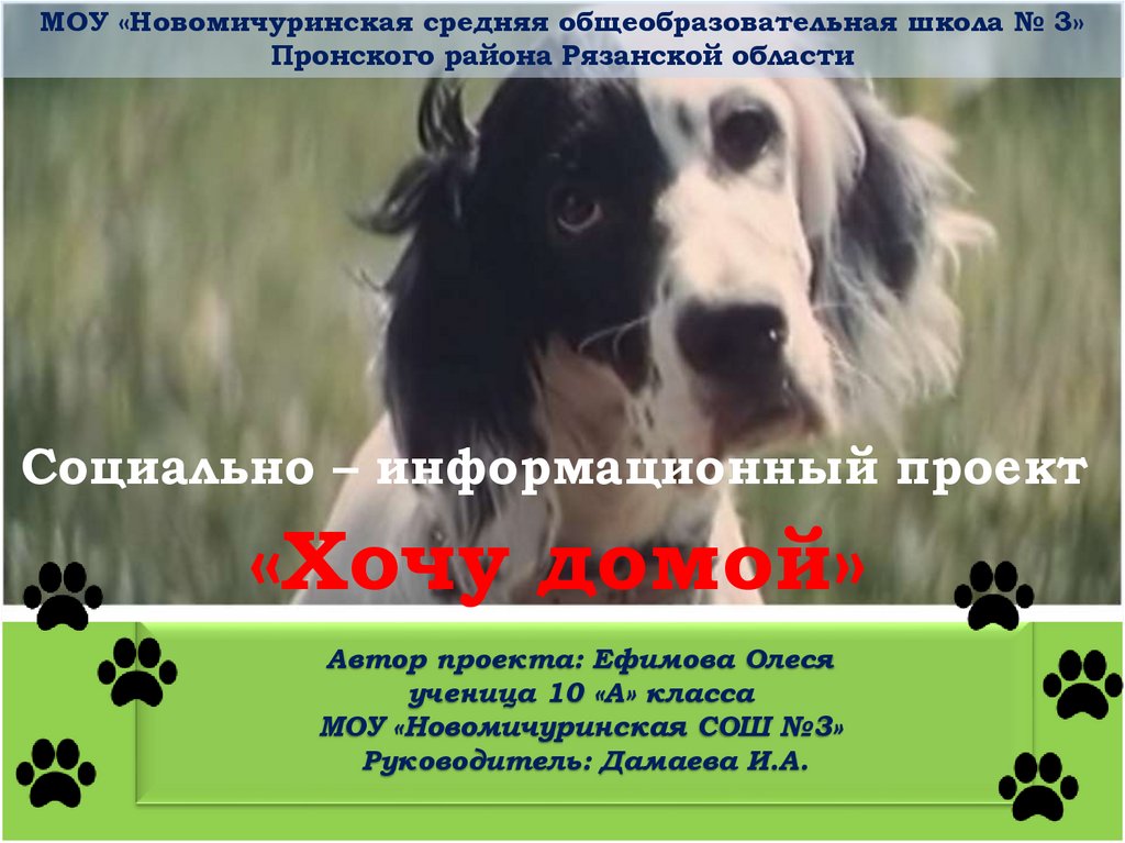 Я спать мем. Хочу домой автор. "хочу домой". Сафарли э. Хочу домой автор.