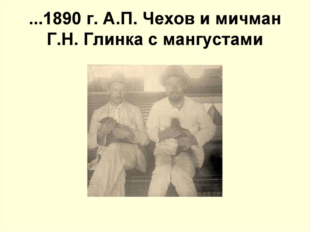 ...1890 г. А.П. Чехов и мичман Г.Н. Глинка с мангустами