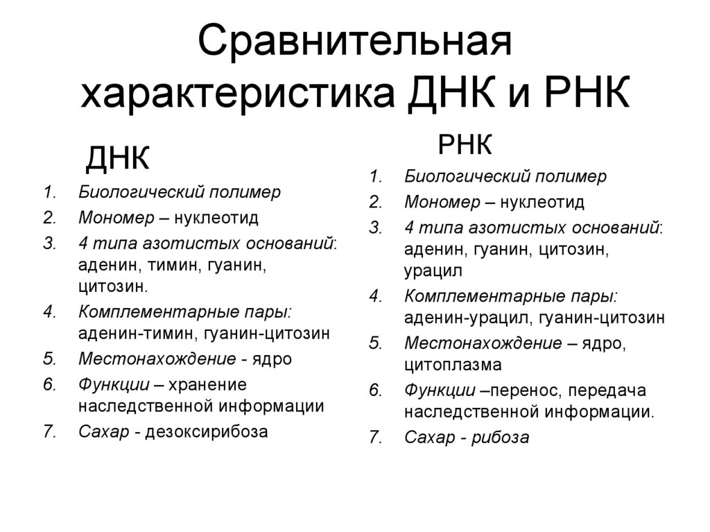 Характеристика днк и рнк