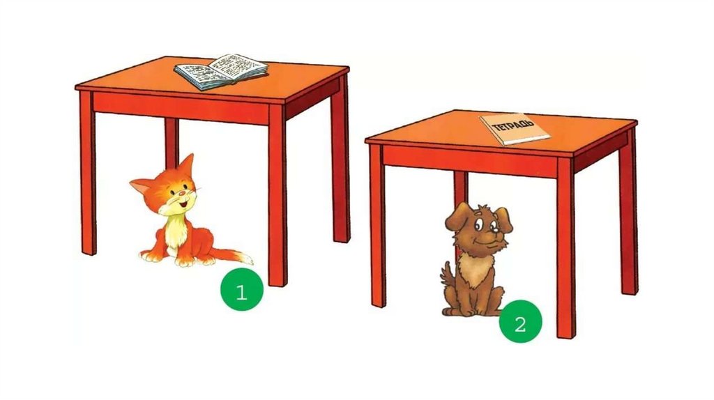 Стол отвечает на вопрос. Кошка под столом. Собака под стулом. Под стулом. Кот под стулом.