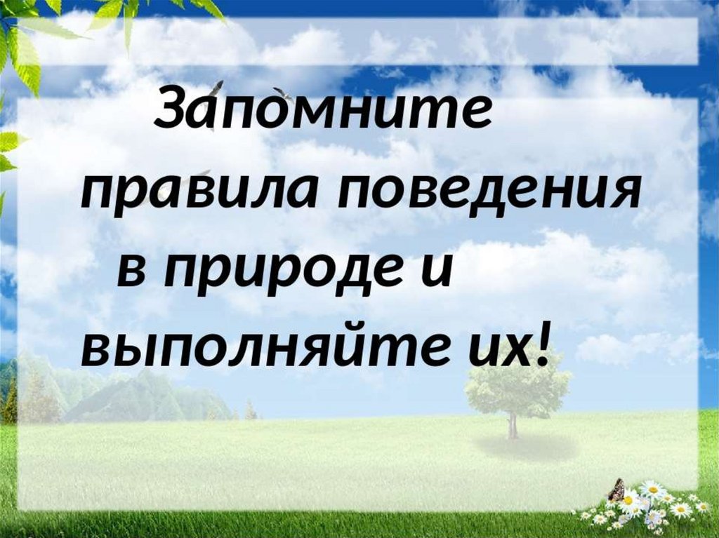 Презентация природа 8 класс. Презентация про природу 11 класс. Запомни правило природы.