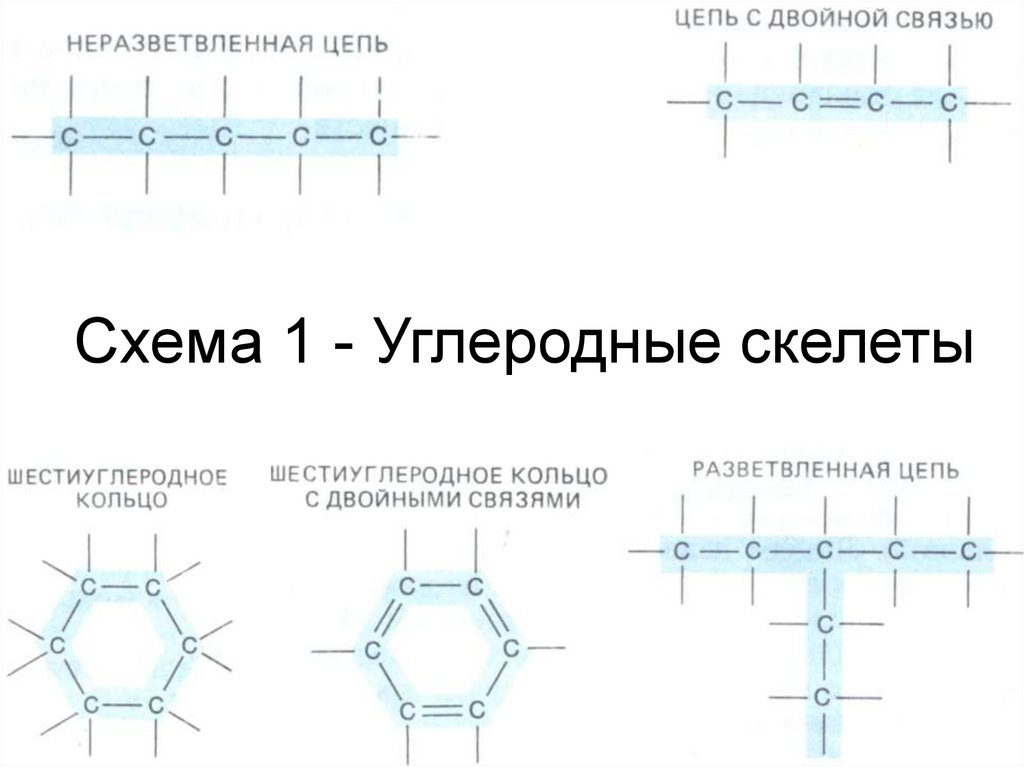 Углеродный скелет. Разветвленный углеродный скелет. Неразветвленный углеродный скелет это. Углеродный скелет органической молекулы.