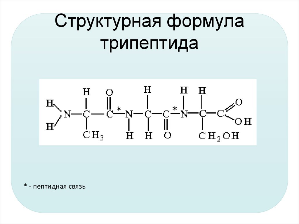 Пользуясь формулами аминокислот напишите схему образования любого трипептида выделите пептидые связи