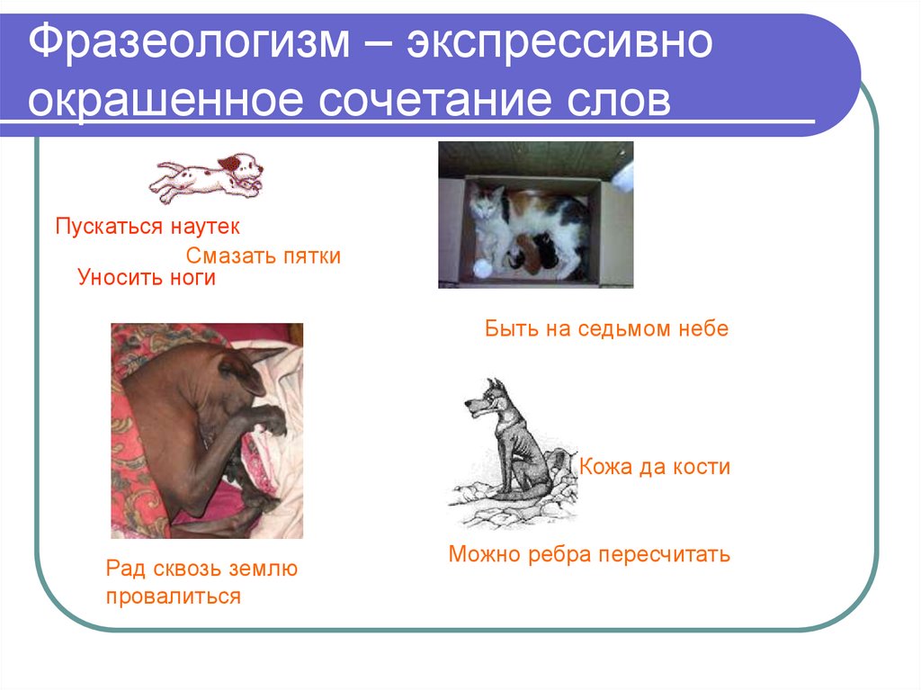 Фразеологизм кусок в горло не идет. Пустился наутек фразеологизм. Предложение со словами пеститься на утек. Кусок фразеологизм. Фразеологизмы со словом победить.