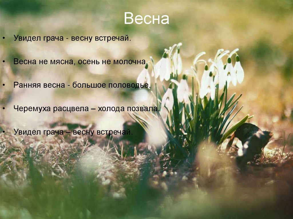 Весна
