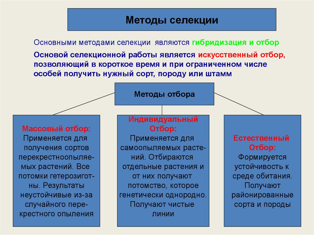 Индивидуальные методы селекции