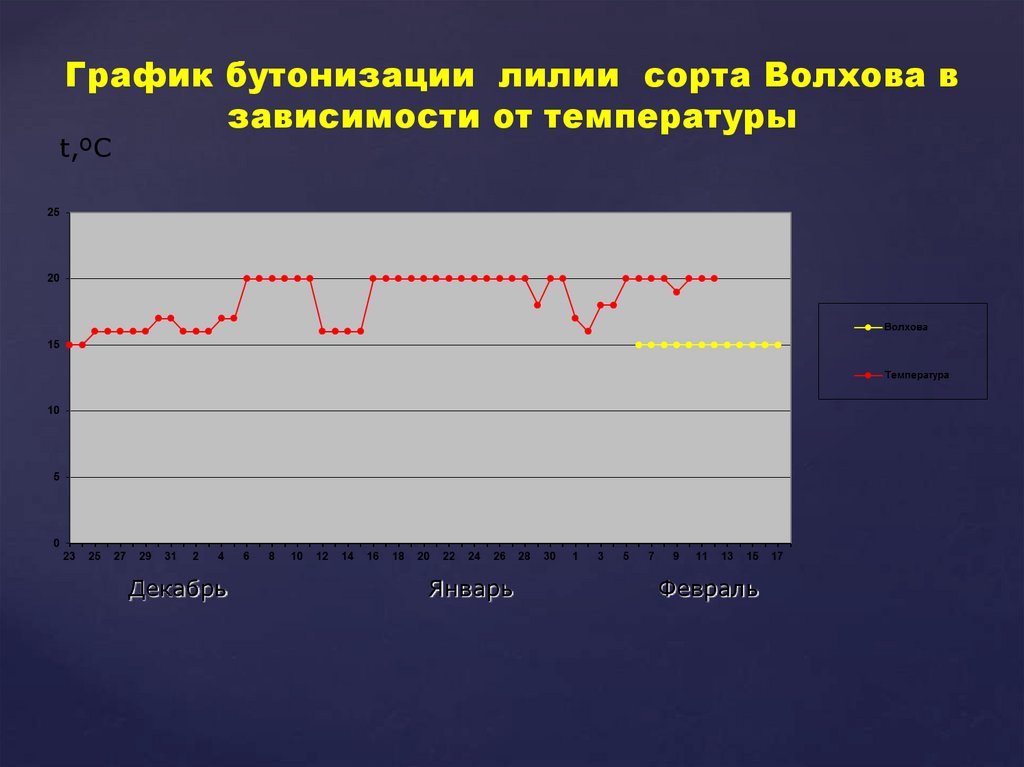 Декабрь Январь Февраль