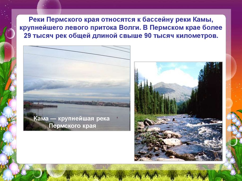 Реки Пермского края относятся к бассейну реки Камы, крупнейшего левого притока Волги. В Пермском крае более 29 тысяч рек общей