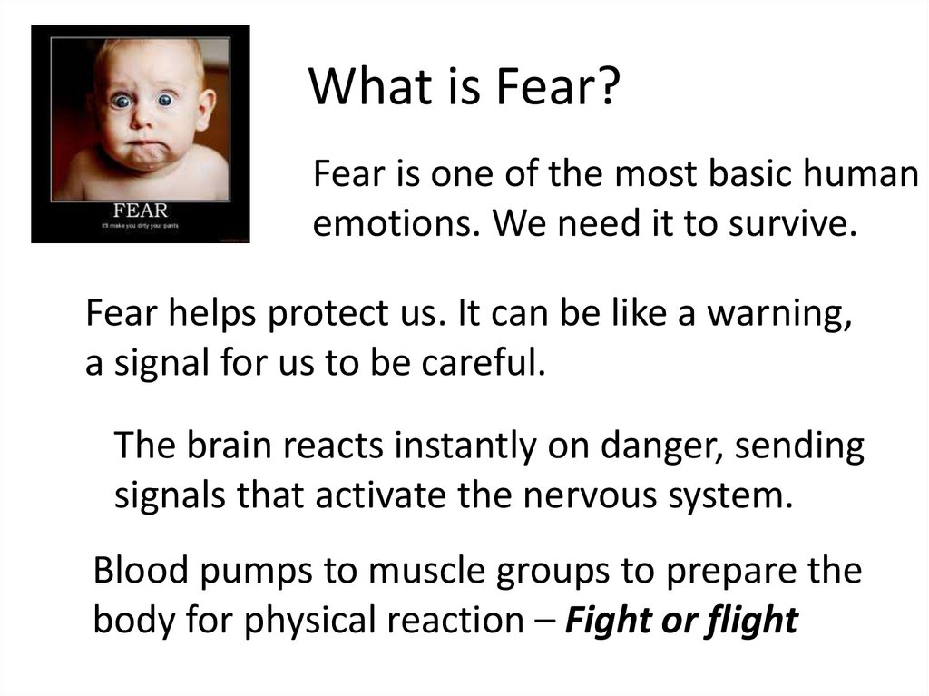 A phobia is an fear of something. Task about Fears and Phobias.