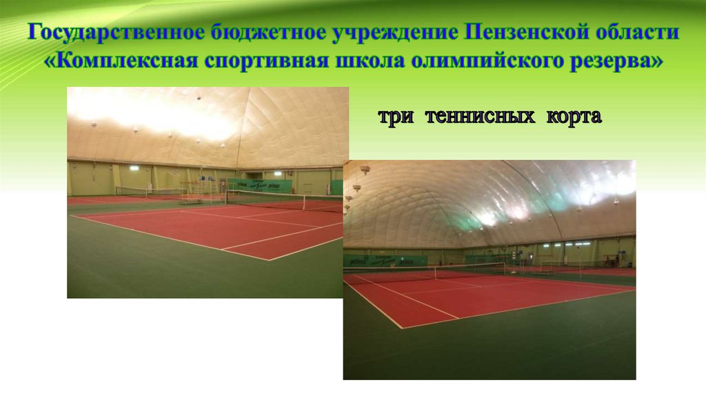 Государственное бюджетное учреждение Пензенской области «Комплексная спортивная школа олимпийского резерва»