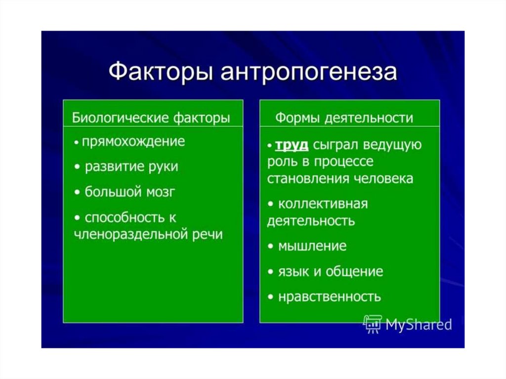 Науки изучающие сущность человека. Роль функций в жизни человека проблематика. Абстрактное, содержание,сущность,причина. Внутренняя (истинная) стоимость:сущность, содержание, форма..