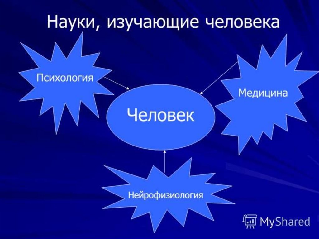 Выберите науки изучающие человека