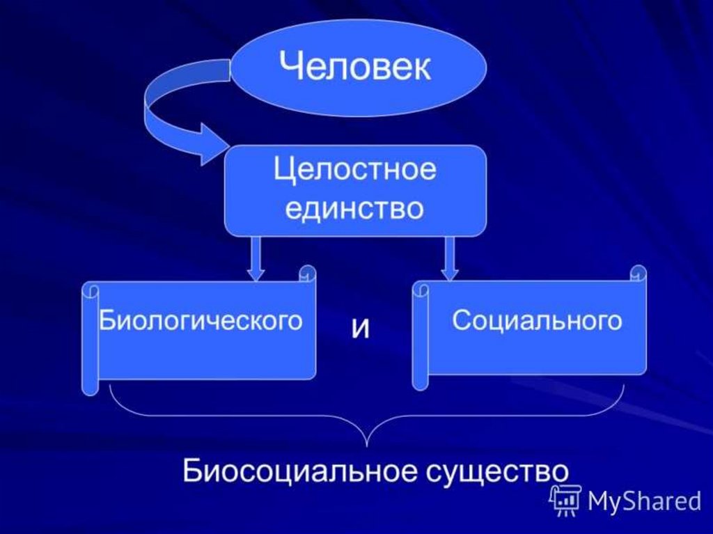 Природа и сущность человека презентация