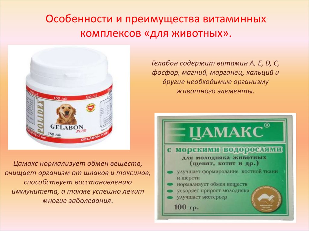 Таблетки в аптеках жодино. Витаминные препараты. Витамин а для животных препараты. Общеукрепляющие препараты. Витамин к2 препараты