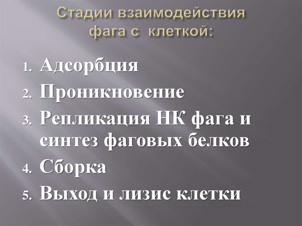 Стадии взаимодействия фага с клеткой: