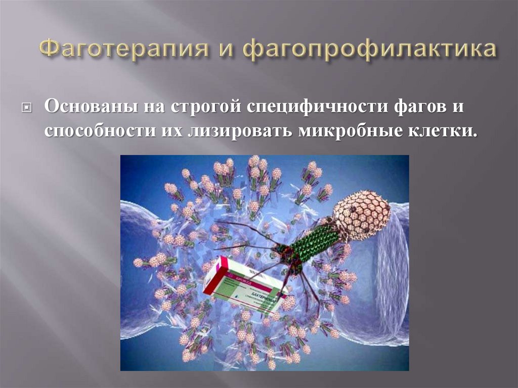 Фаготерапия и фагопрофилактика