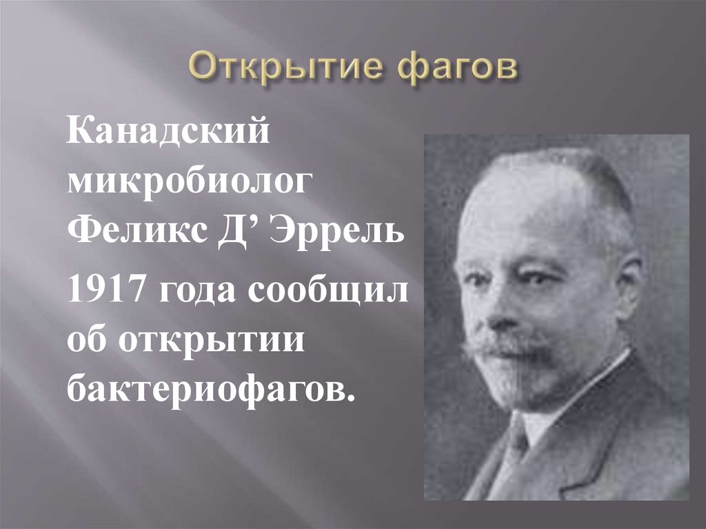 Открытие фагов