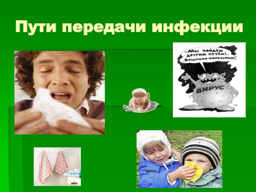 Пути передачи инфекции