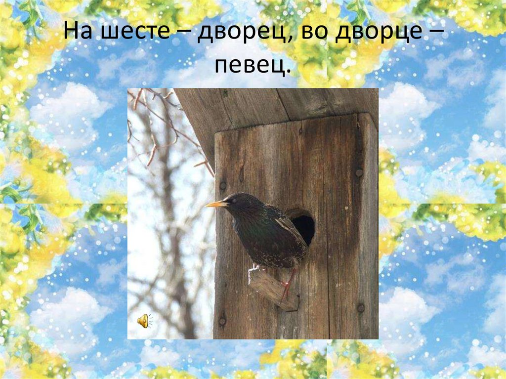 На шесте – дворец, во дворце – певец.