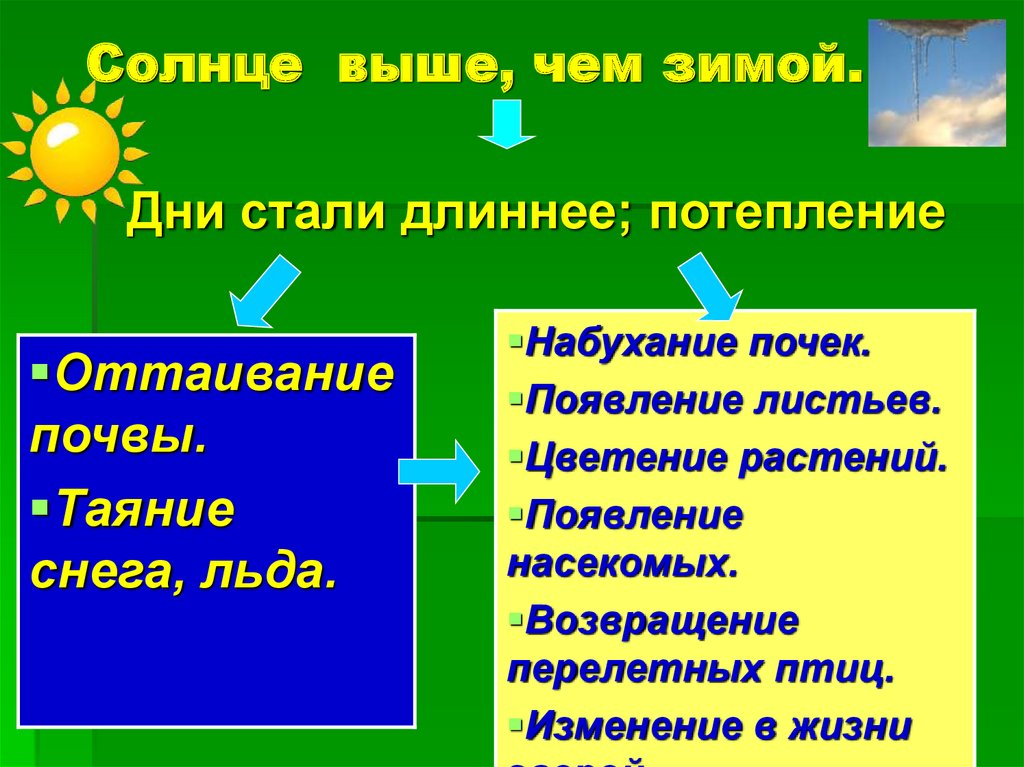 Солнце выше, чем зимой.