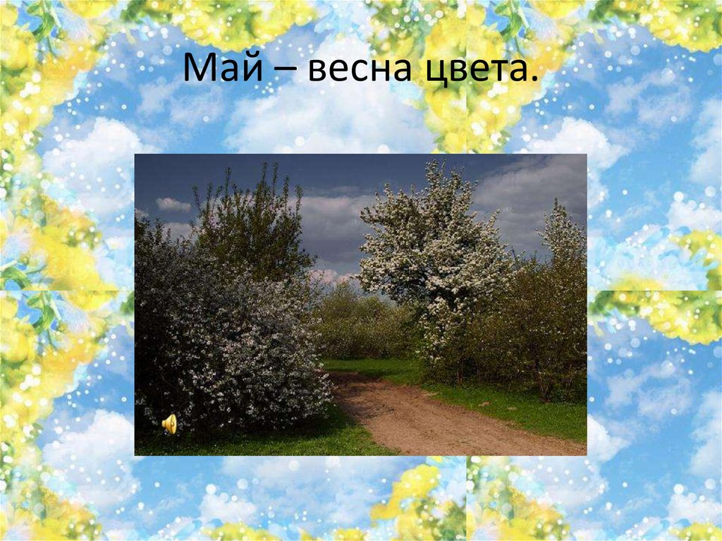 Май – весна цвета.
