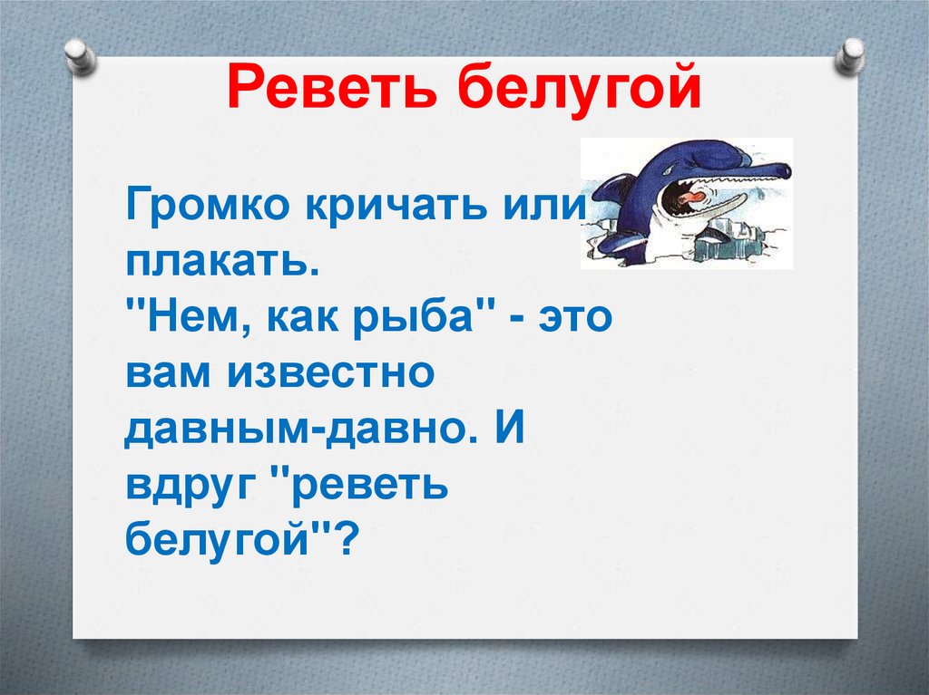 Как пишется плачет или плачит. Реветь белугой фразеологизм. Реветь белугой значение фразеологизма. Выражение рыдать белугой.