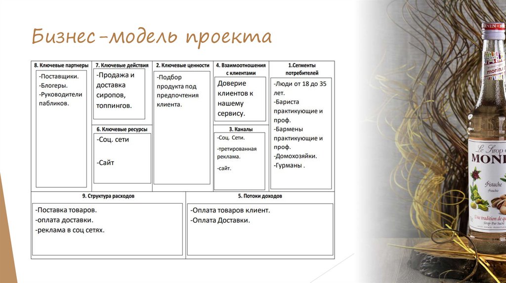 Бизнес-модель проекта