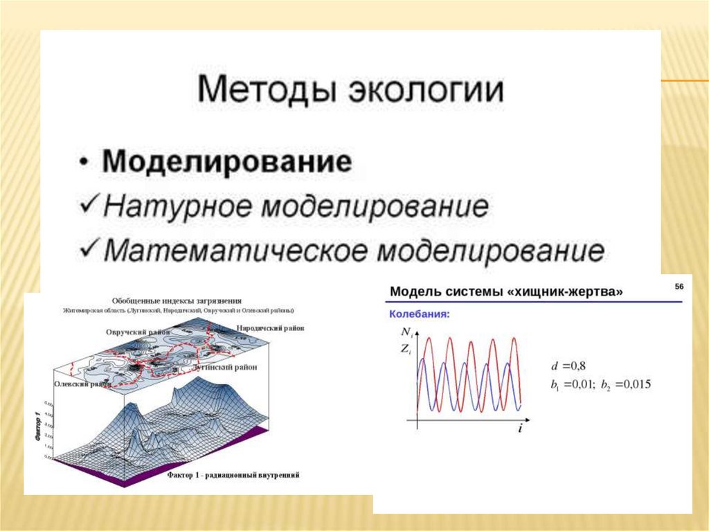 Моделирование физических задач. Моделирование в экологии. Математическое моделирование в экологии. Моделирование в химии. Компьютерное моделирование в химии.