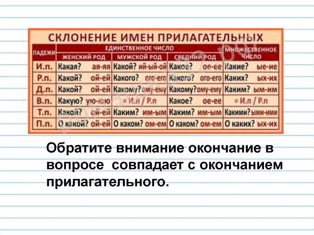 Как изменяются имена прилагательные