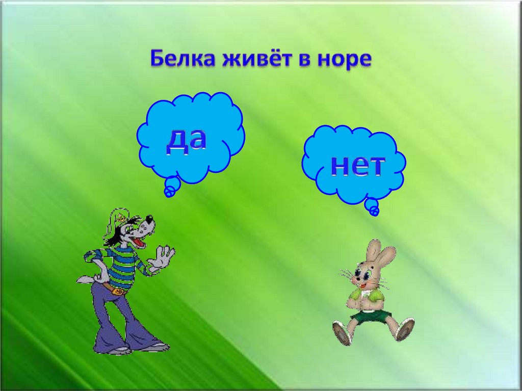 Белка живёт в норе