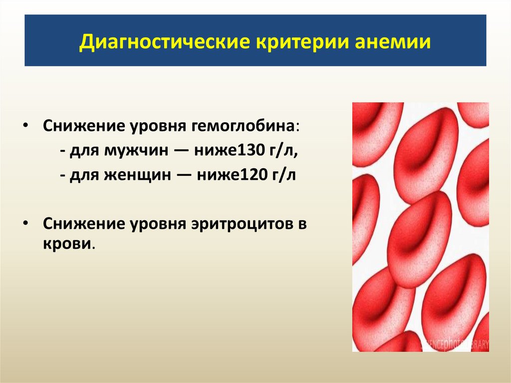 Диагностические критерии анемии