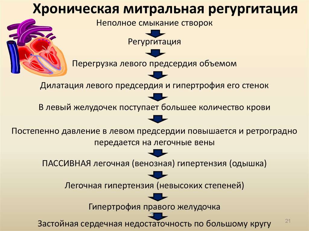 Патогенез митральной недостаточности схема