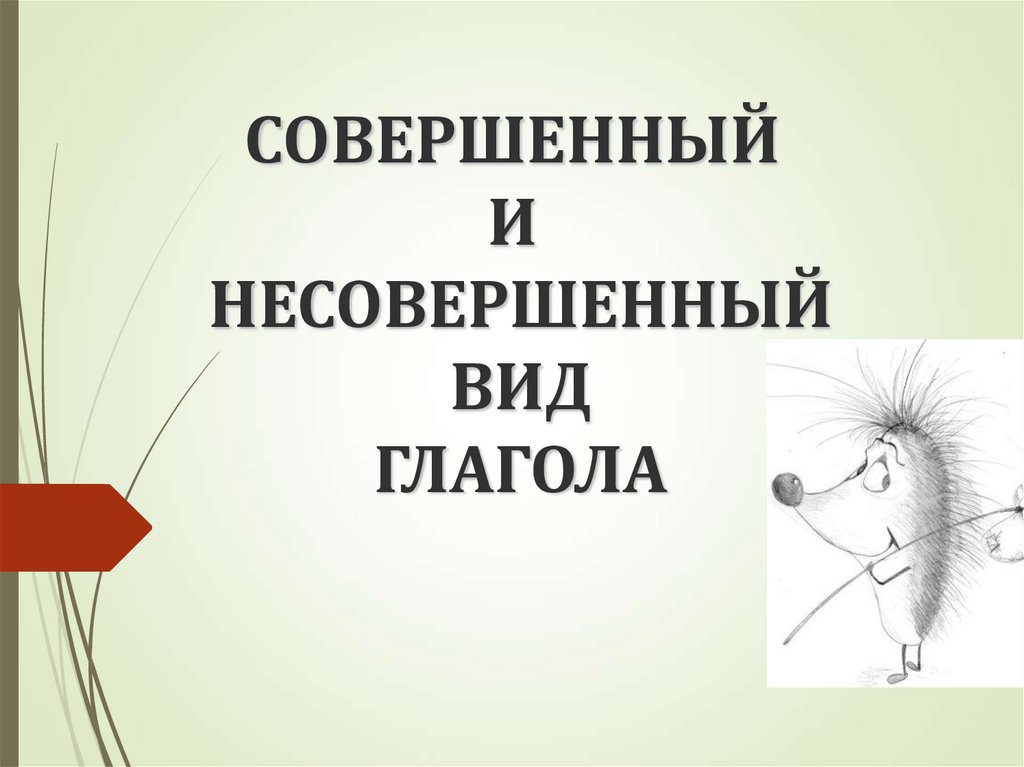 СОВЕРШЕННЫЙ И НЕСОВЕРШЕННЫЙ ВИД ГЛАГОЛА