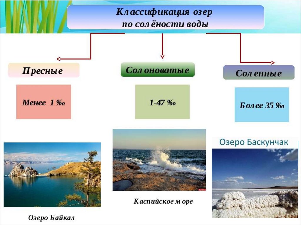 Какие бывают озера. Озера России презентация. Пресные озера России. Классификация озер России. Какие озера России ты знаешь.