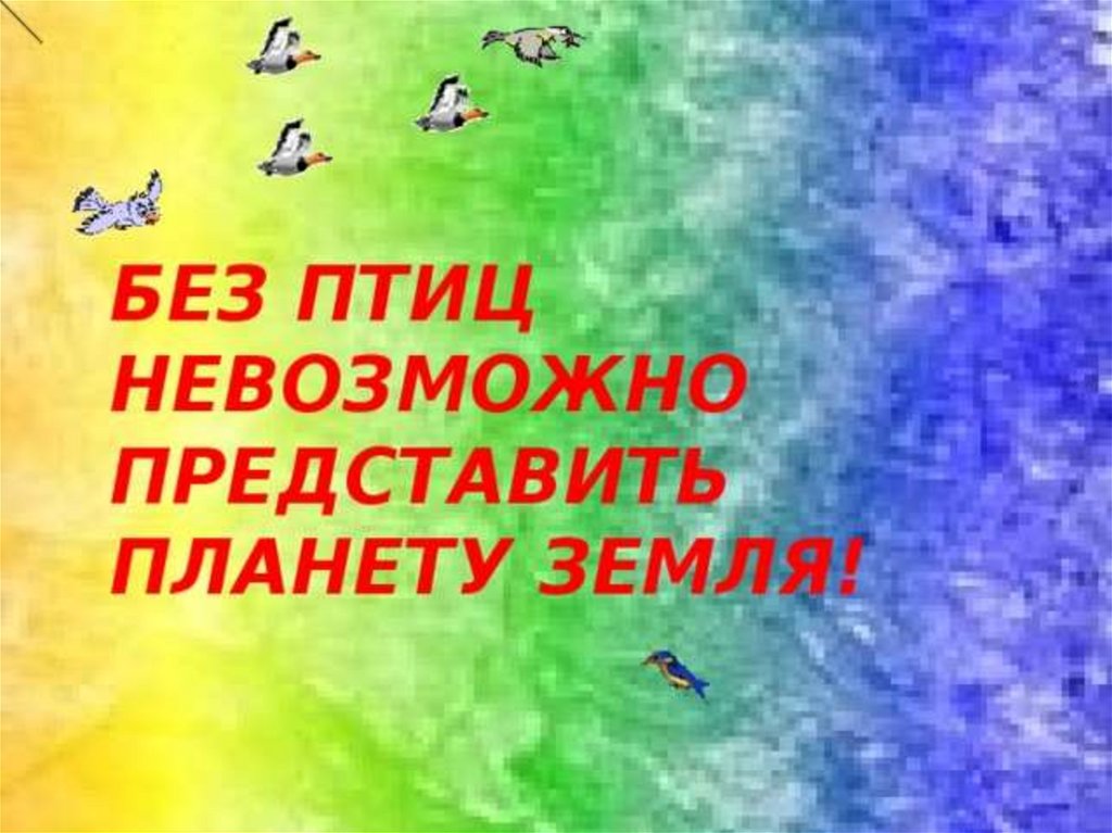 Невозможно представить без. Без птиц невозможно представить планету земля. Без птиц невозможно представить планету. Невозможно представить. Без птиц невозможно представить планету рисунок.