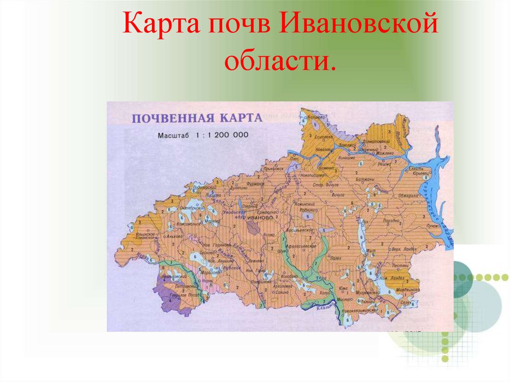 Карта почв Ивановской области.