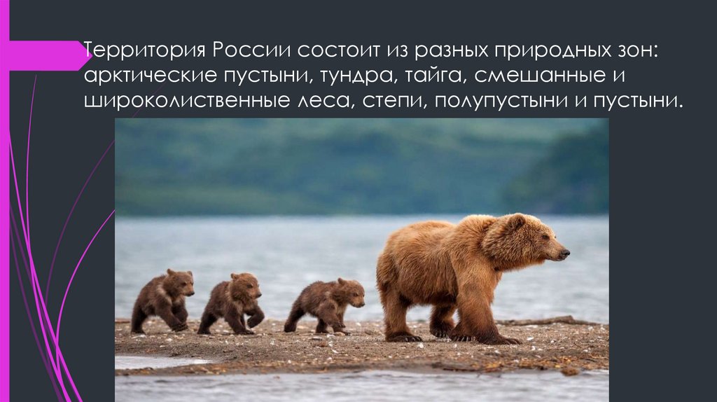 Территория России состоит из разных природных зон: арктические пустыни, тундра, тайга, смешанные и широколиственные леса,