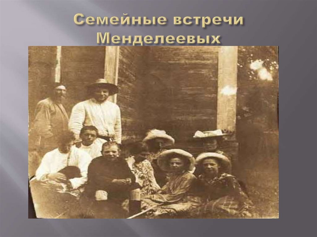 Семейные встречи Менделеевых