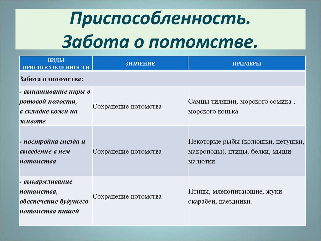 Виды потомства. Виды заботы о потомстве. Забота о потомстве таблица. Приспособительные особенности строения тела. Забота о потомстве примеры таблица.