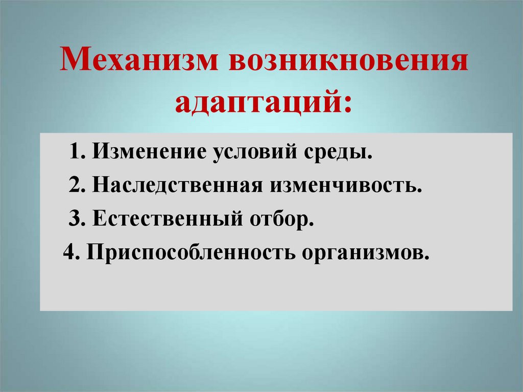 Появление механизмов