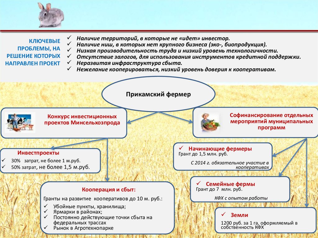 На решение какой проблемы направлен проект